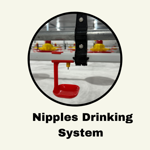 Nipples Drinking System