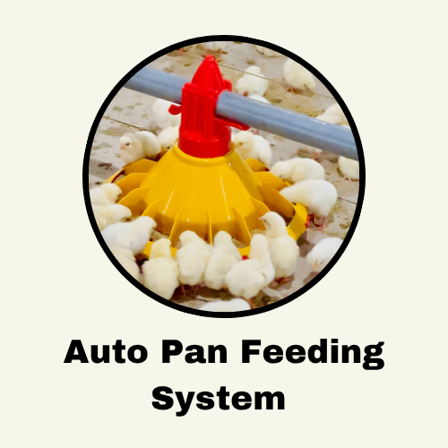 Auto Pan Feeding System